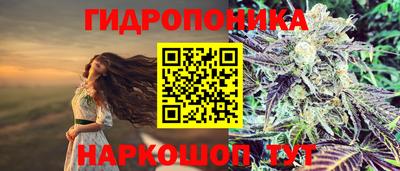 гашишное масло Сланцы