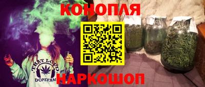 a pvp Славгород